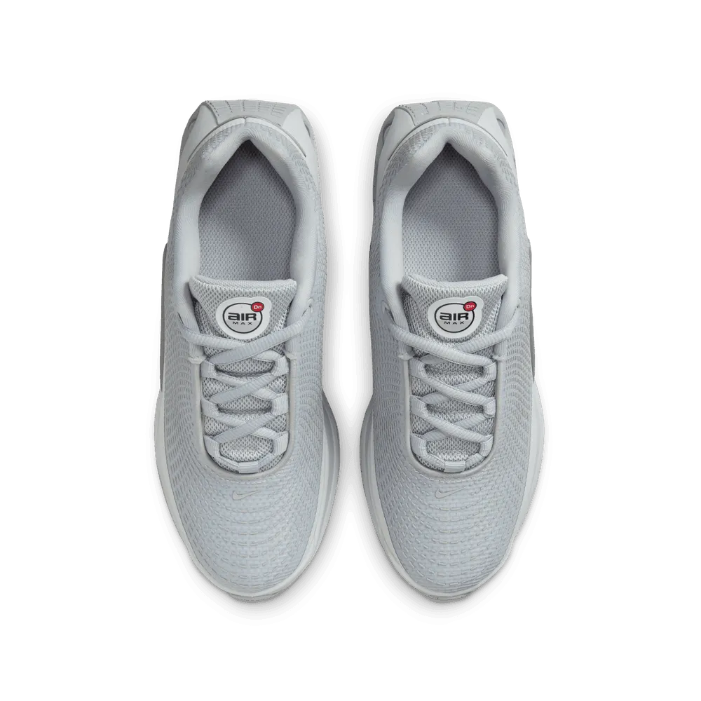 Air Max Dn GS 'Wolf Grey/Pure Platinum'