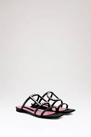 Black Hoya Flats