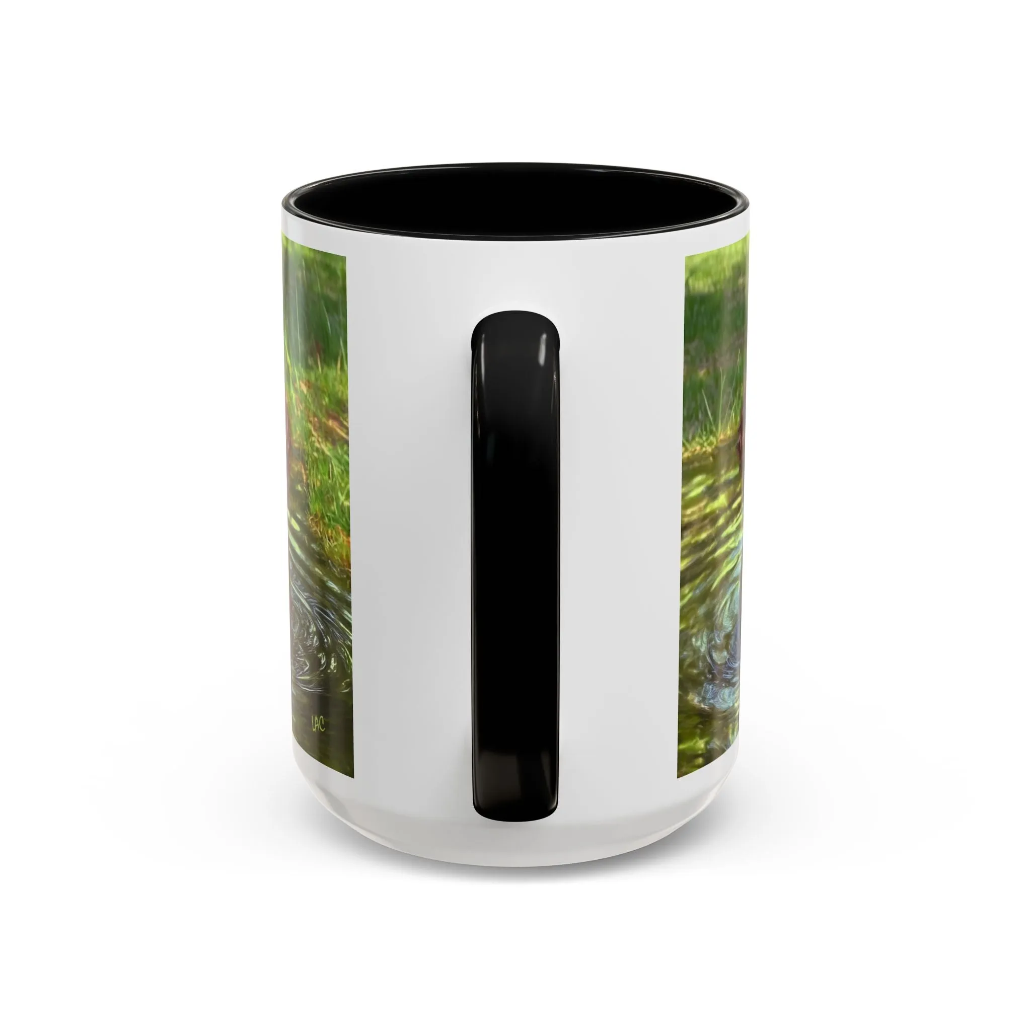 Boykin Spaniel -- Accent Coffee Mug --2 Sizes