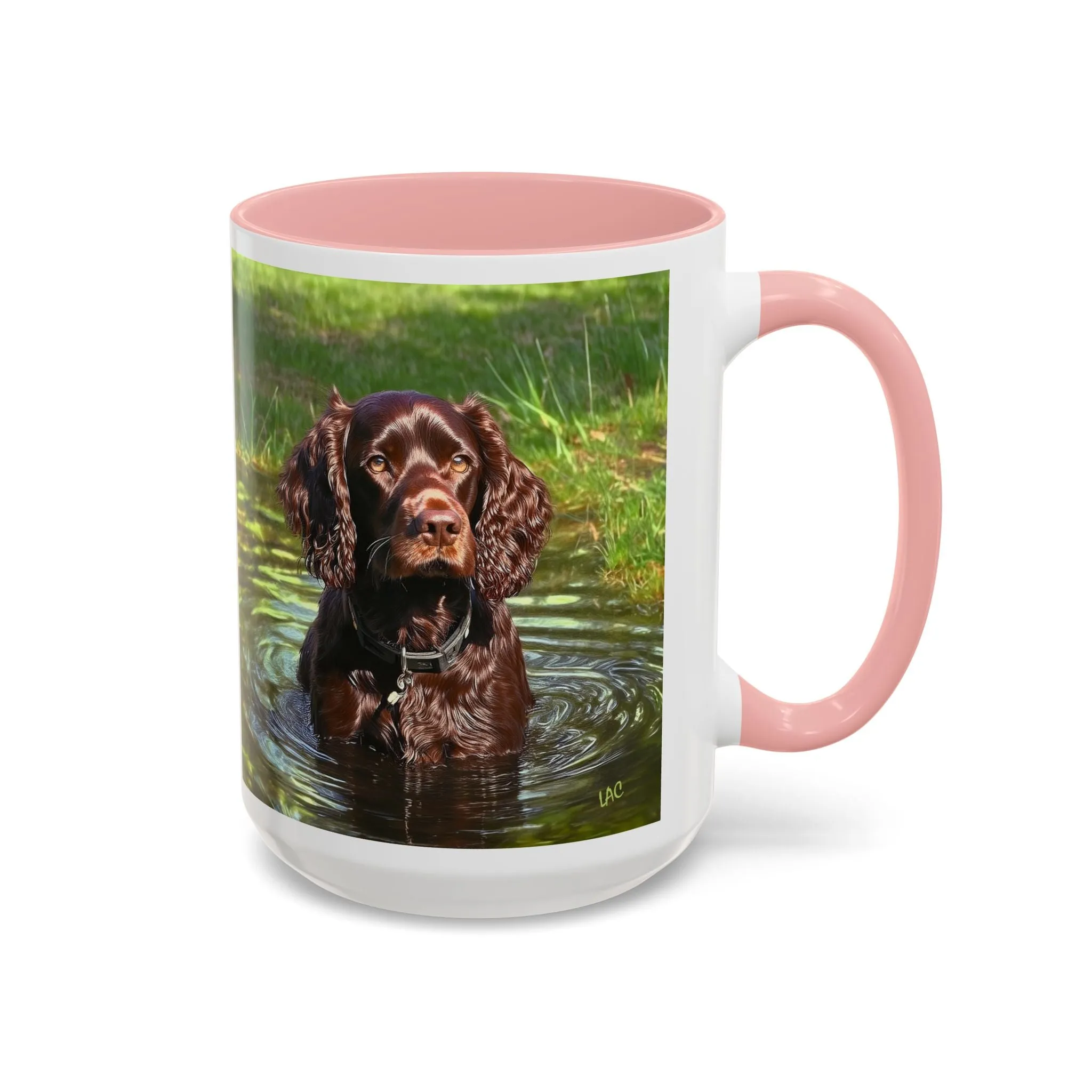 Boykin Spaniel -- Accent Coffee Mug --2 Sizes