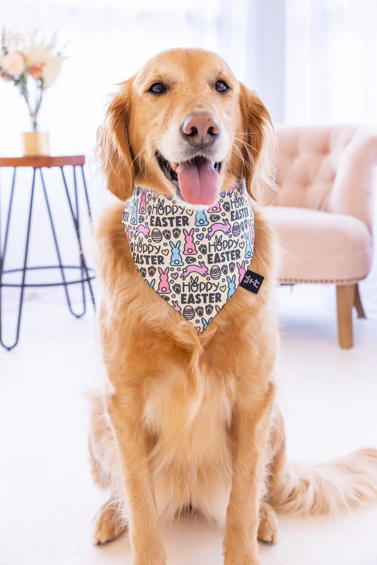 Hoppy Easter Dog Bandana