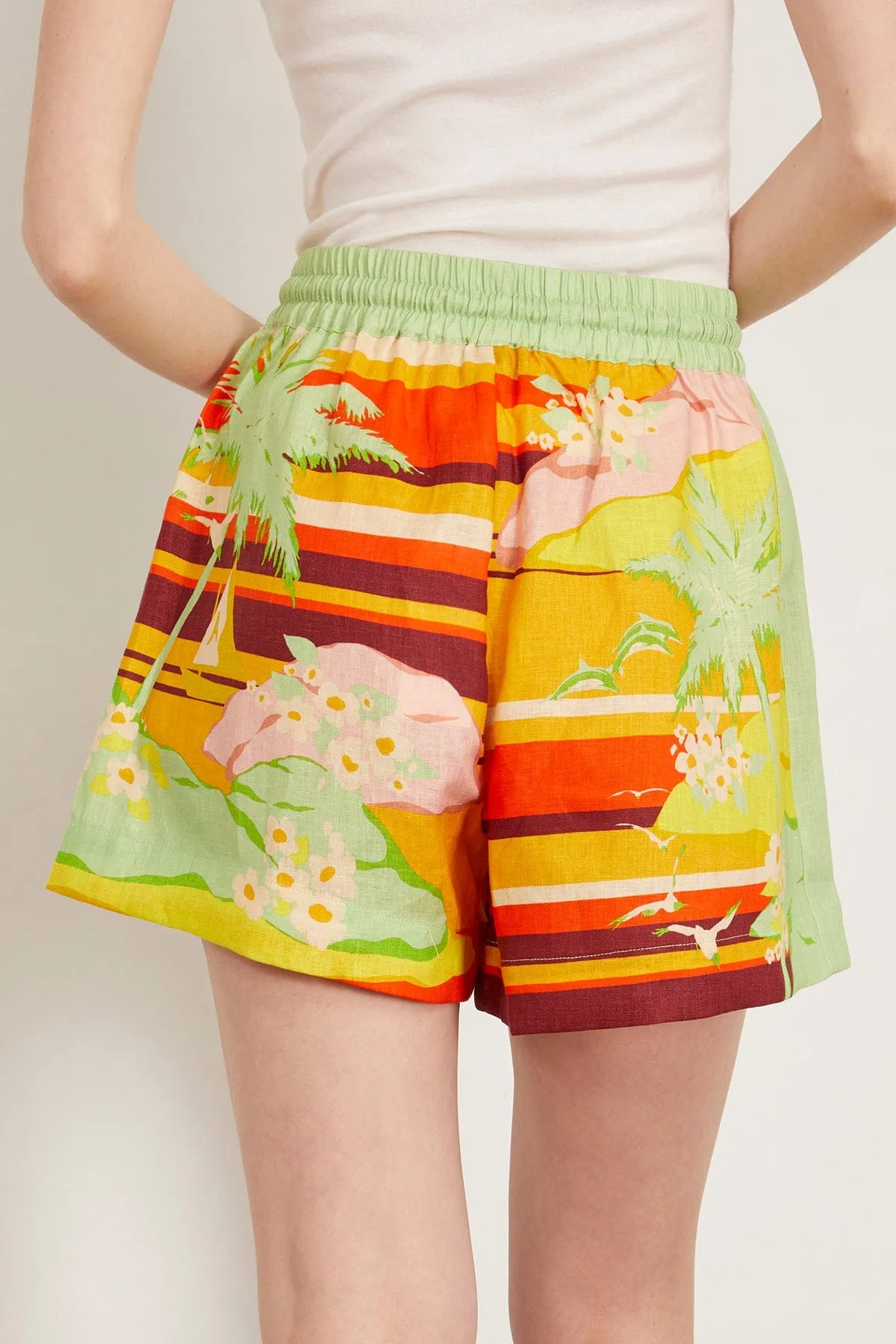 Palm Island Short in Multi