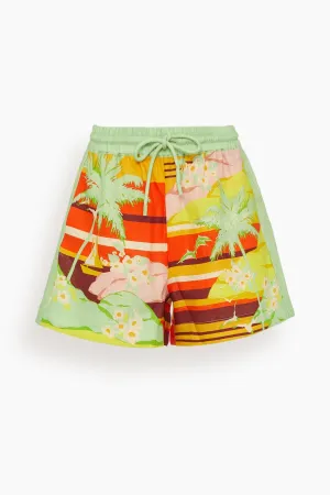 Palm Island Short in Multi