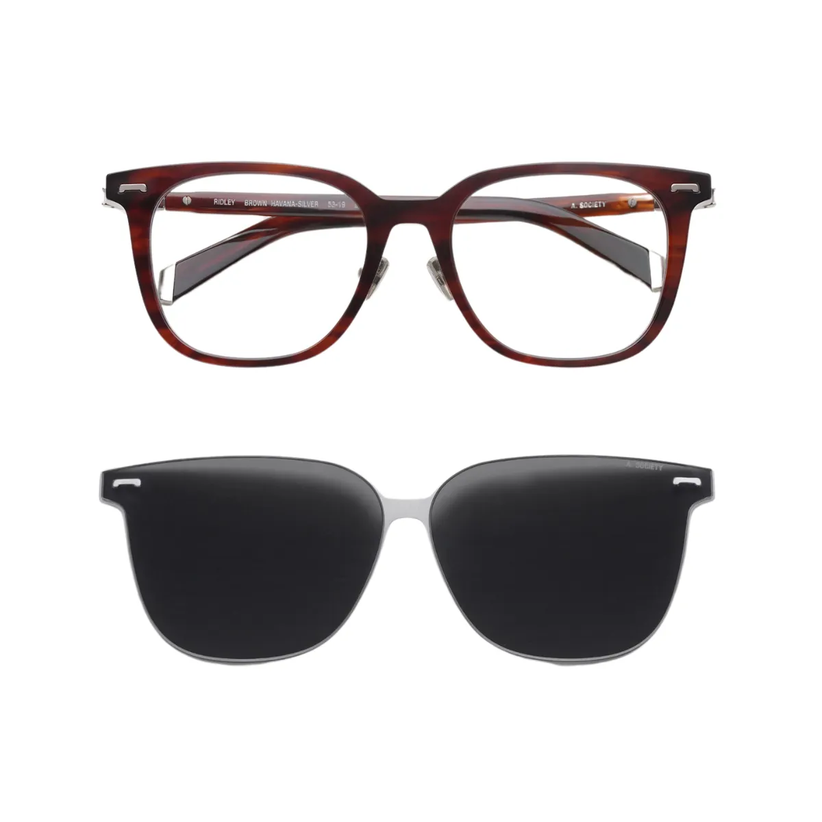 Ridley Brown Havana-Silver
